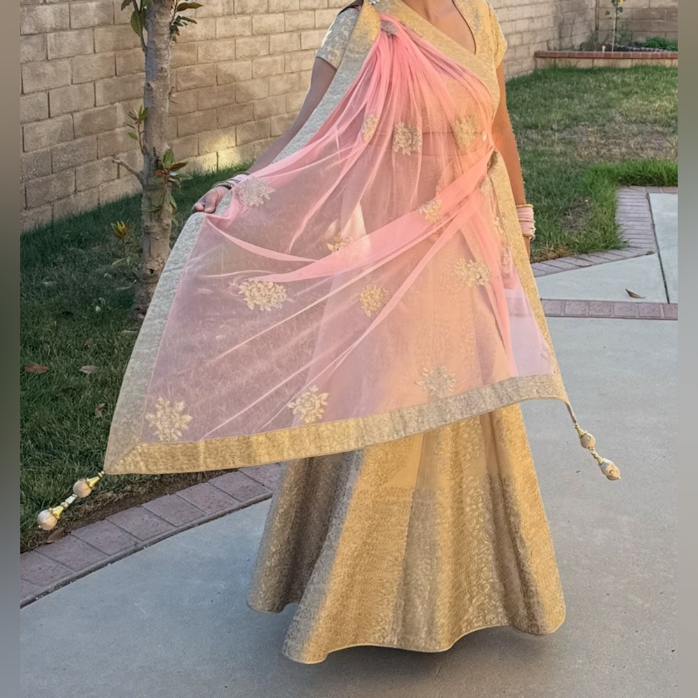Beautiful Indian Lehnga Dress